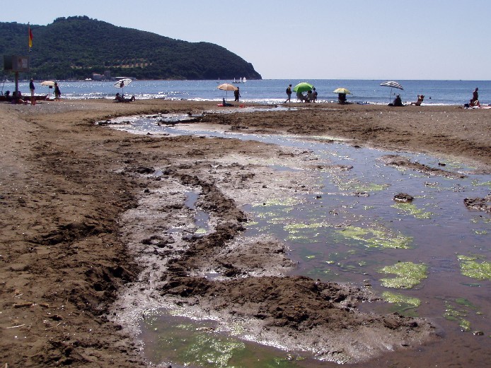 I fossi e lo stagno di Baratti (Piombino - LI)